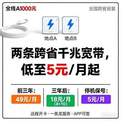 正规靠谱!5元两条千兆宽带,APP可查+远程服务超省心