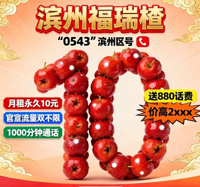 滨州福瑞楂卡，10元月租，解锁流量通话双自由